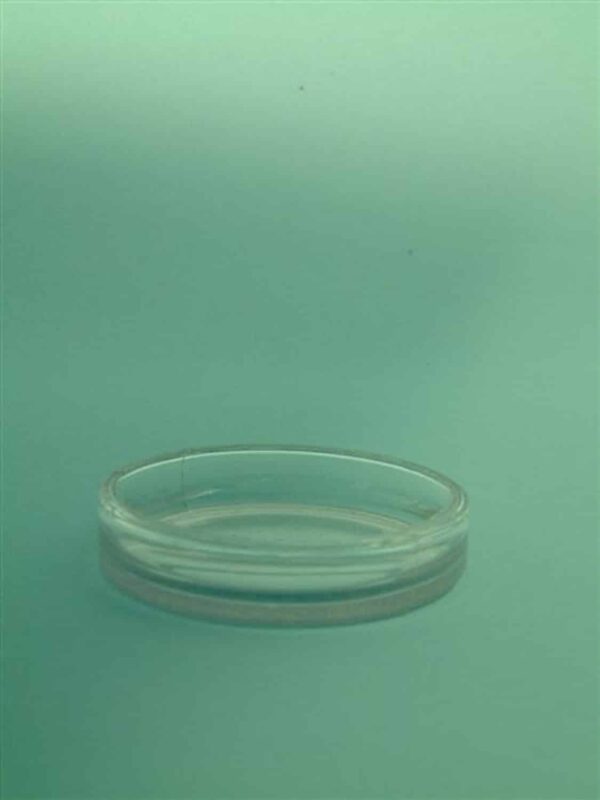 Sugar glass Petri dish, 1.5 cm x ø 9 cm.